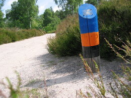 Wandelen in de omgeving