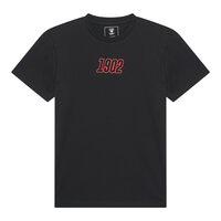 Go Ahead Eagles shirt 1902